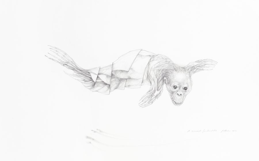 Click the image for a view of: A mermaid for Aristotle. 2014. Pencil on paper.